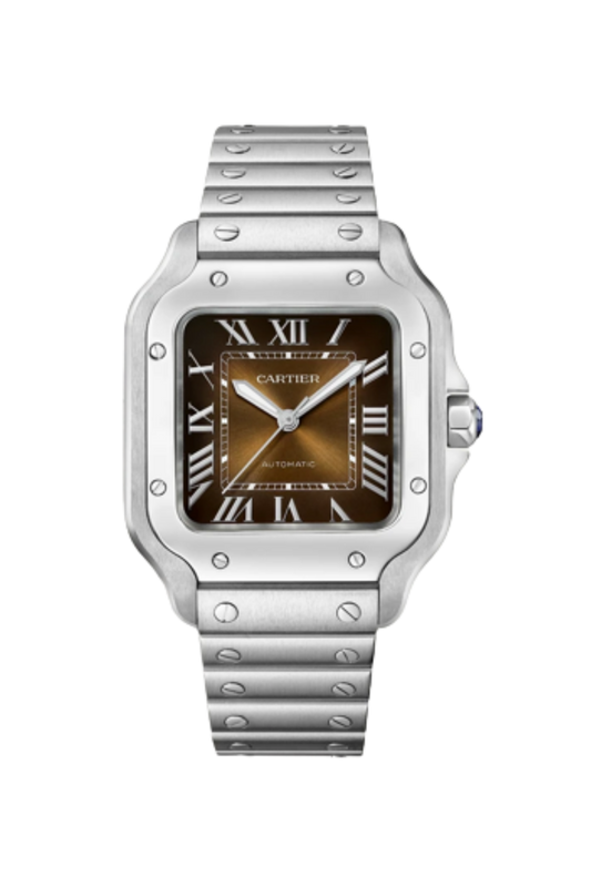 Santos De Cartier Steel MED Brown